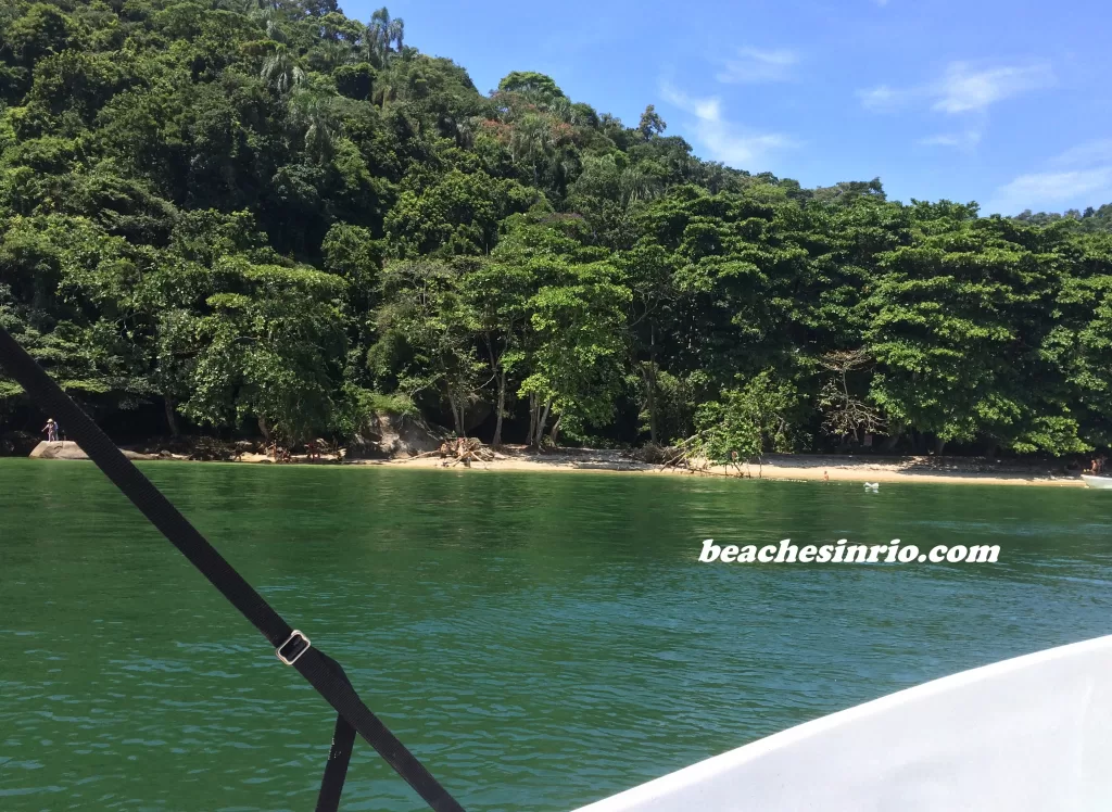 View of Ilha Guaíba Island from a boat approaching the shore, with emerald-green sea and dense tropical forest covering the island’s coastline at Mangaratiba / Rio de Janeiro.