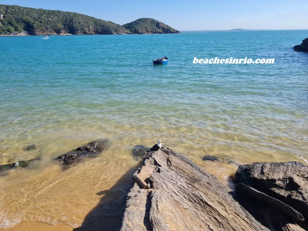 Paradisiacal João Fernandinho Beach in Buzios, Brazil, with preserved vegetation, rich fauna and flora, calm atmosphere, and cozy scenery during the low season.